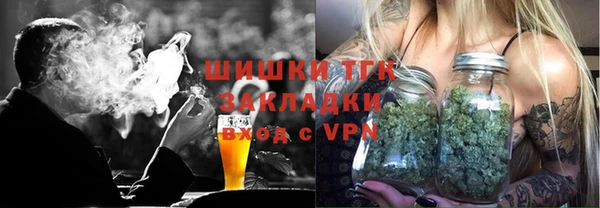 молекула духа Инсар