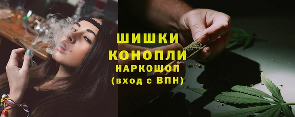 молекула духа Инсар