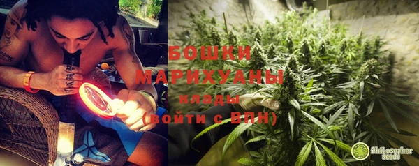 гидропоника Инта