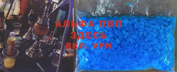 гашик Ростов