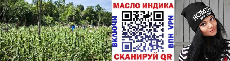 ТГК THC oil как найти Снежногорск