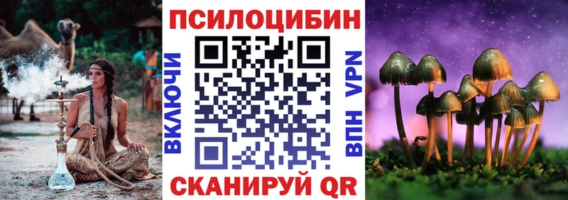 Галлюциногенные грибы Psilocybine cubensis  Снежногорск 